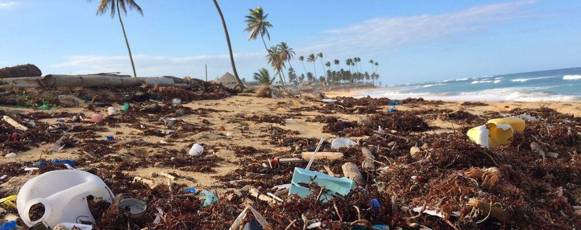 Picture of Environmentally-friendly, biodegradable security seals